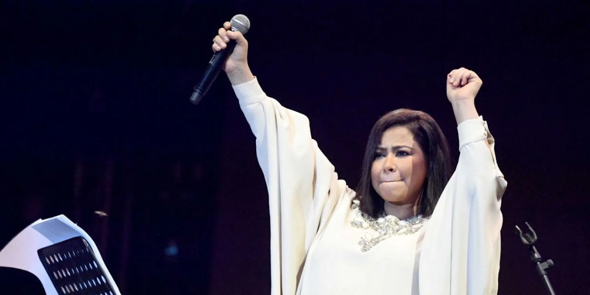  egyptian celebrities fly aid sherine