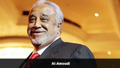 Mohamed Al-Amoudi