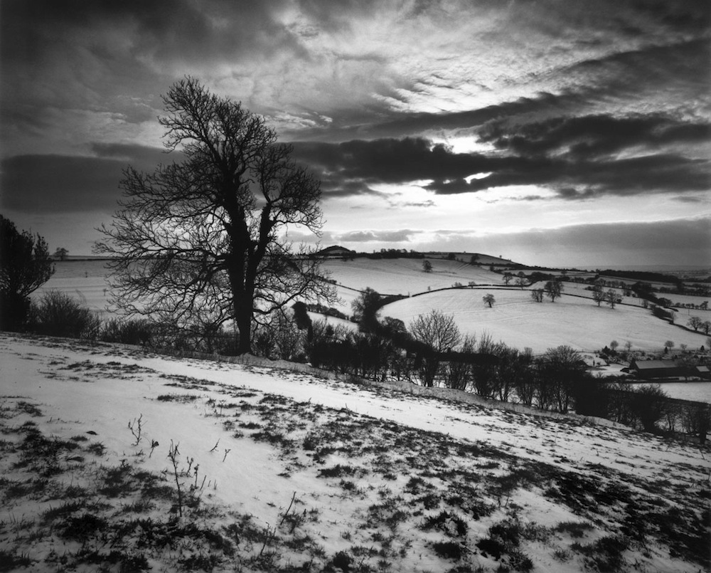 Winter landscape, Somerset, UK, 1991
