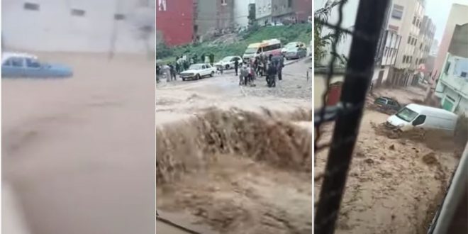 Mobilisation totale contre les effets de la vague de froid et des perturbations météorologiques