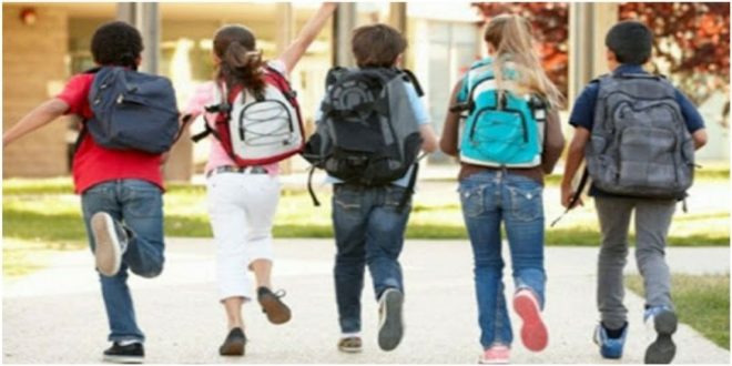 Calendrier scolaire 2025-2026 : les dates des vacances dévoilées