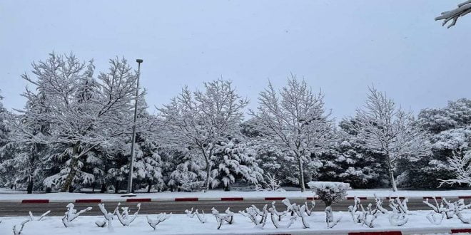 Ifrane: forte mobilisation et plusieurs mesures pour faire face au froid