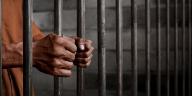 Surveillance électronique et autres peines alternatives : la DGAPR fait le point