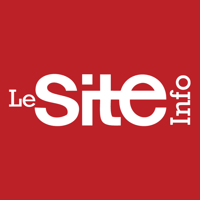 Le Site Info logo