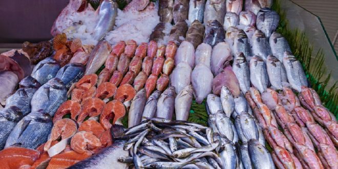 Initiative « Poisson à prix raisonnable » : lancement à Sala Al Jadida d’un point de vente de poissons congelés