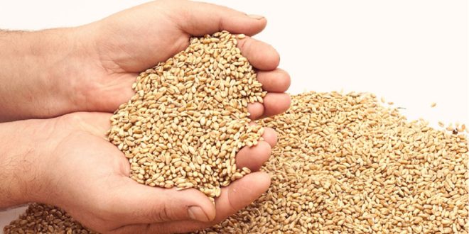 Conseil des Oulémas : le montant de la Zakat Al Fitr fixée