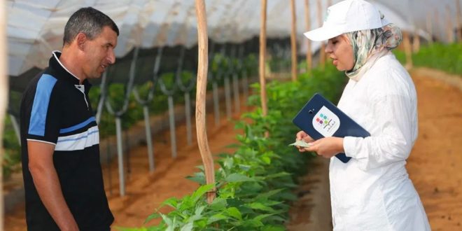 Al Moutmir, une offre d’accompagnement sur mesure pour une agriculture résiliente et durable