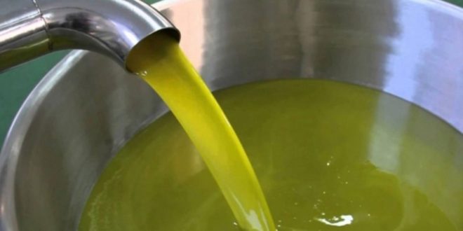 L’huile d’olive descend à 50 DH le litre dans plusieurs régions