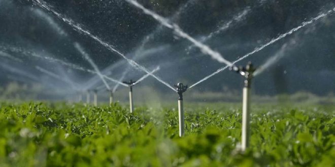 Marrakech: Ouverture de la 19è édition du Congrès Mondial de l’Eau