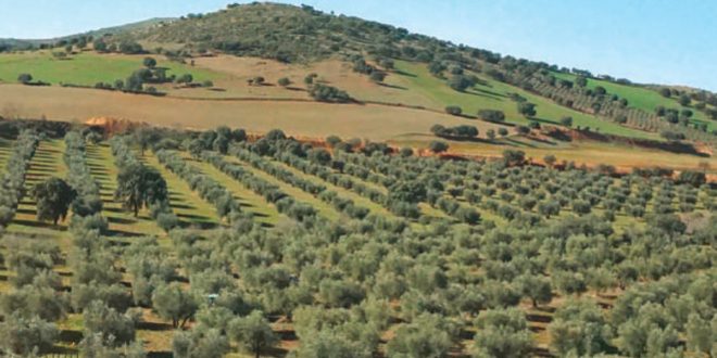 Le Figaro invite à faire cap sur le Maroc en automne