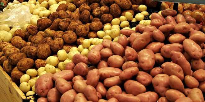 Hausse du prix des pommes de terre à Casablanca
