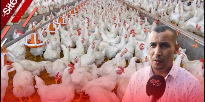 Soutien aux petits éleveurs : l’association nationale se félicite de l’initiative gouvernementale