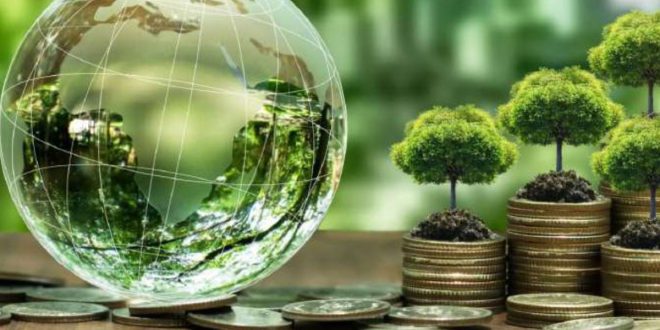 Impact des obligations vertes : au-delà du volume, la stratégie prime