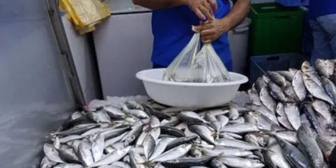 Casablanca : le prix des sardines grimpe