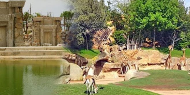 Zoo de Ain Sebaâ : les premiers animaux sont arrivés