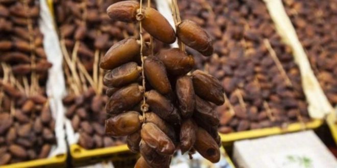 Campagne agricole 2026-2027: la production nationale devrait atteindre environ 180.000 tonnes