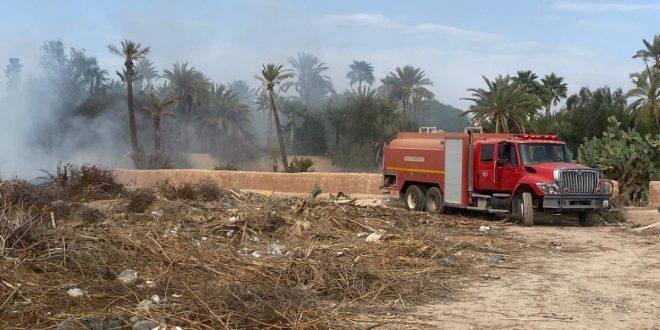 Marrakech : un incendie ravage plusieurs palmiers