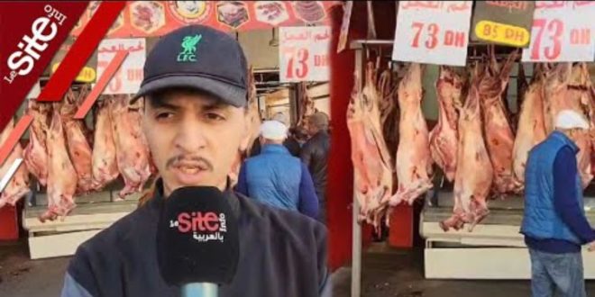 Les Marocains se tournent vers les viandes importées (VIDEO)