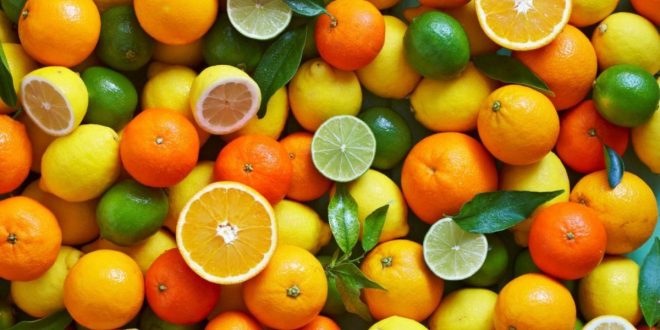 Une première : les agrumes marocains font leur entrée au Japon