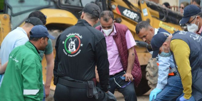 Crime de Ben Ahmed : la police mobilise les chiens renifleurs (VIDEO)