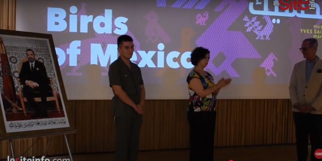 Oiseaux du Mexique : envols croisés entre deux cultures (VIDEO)