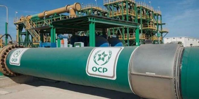 Signature d’un accord majeur entre OCP Nutricrops et la BADC