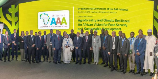 Initiative «Triple A» : appel à la transformation de l’agriculture africaine
