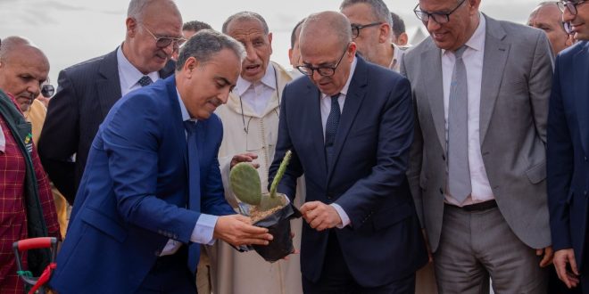 Ouverture du Festival de l’Amandier à Tafraoute
