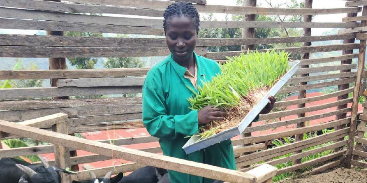 Agriculture africaine : renforcer le rôle des petits exploitants agricoles