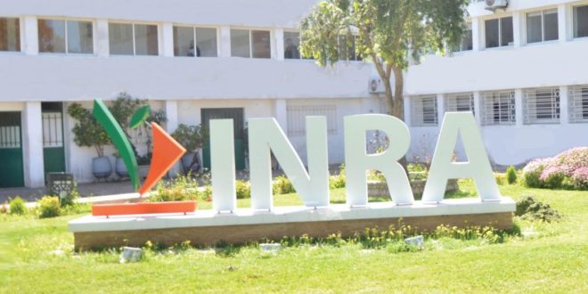 Partenariat stratégique entre l’INRA et Syngenta pour une agriculture durable au Maroc