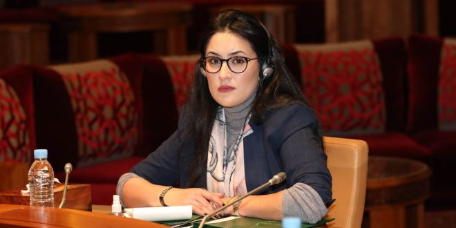 Une députée marocaine à la tête de l’Union des jeunes démocrates d’Afrique