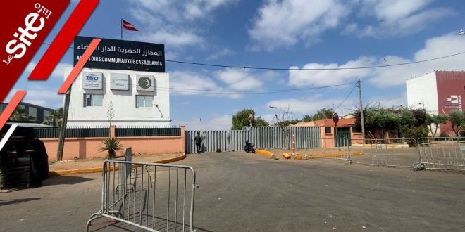 Retour à la normale dans les abattoirs de Casablanca (VIDEO)