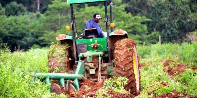 Agro-industrie : favoriser l’émergence d’acteurs locaux