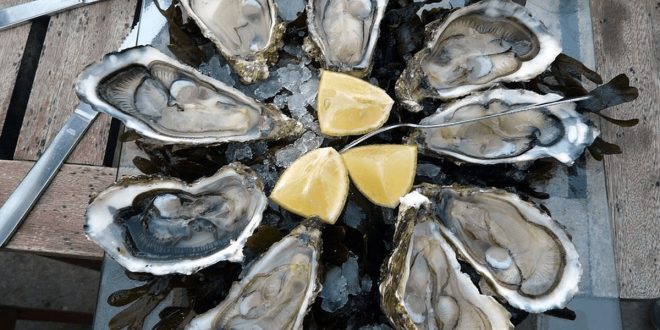 Dakhla : interdiction de la récolte et vente d’huîtres à Boutalha