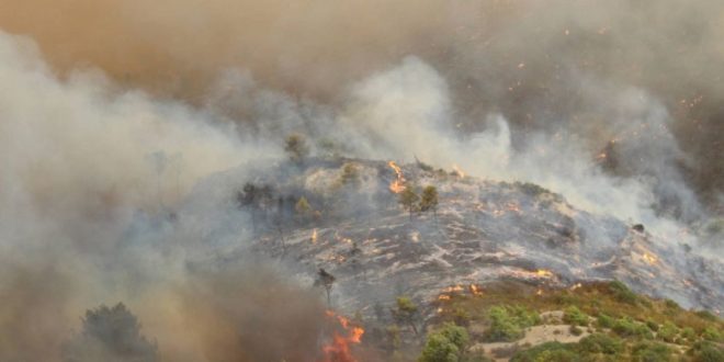 Incendies de forêt à Chefchaouen: l’ANEF fait le point