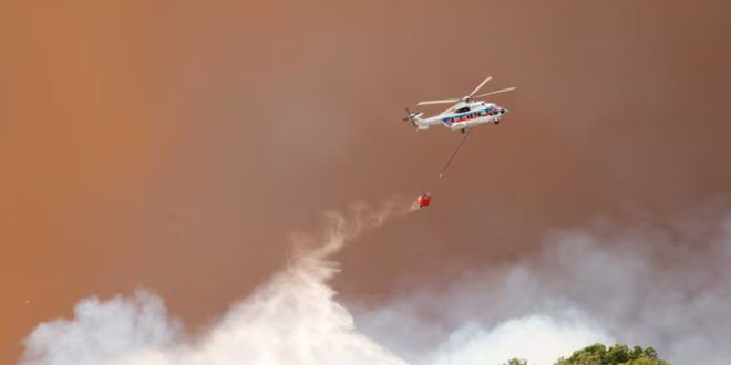 Feux de forêt à Chefchaouen: trois foyers maîtrisés