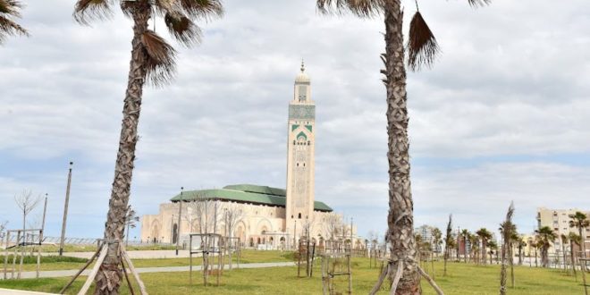 Casablanca : feu vert pour le projet de l’Avenue Royale (VIDEO)