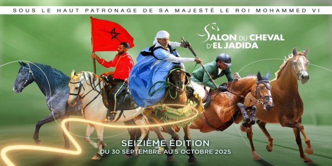 Salon du Cheval d’El Jadida : les préparatifs s’intensifient pour la 16ème édition