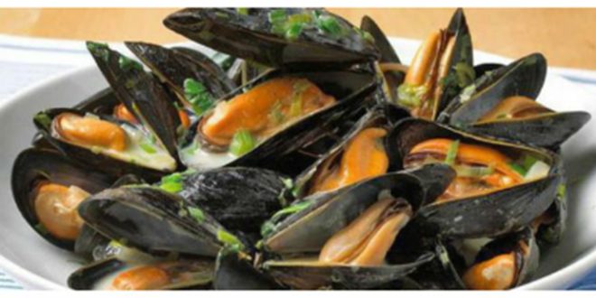 Dakhla : huîtres et moules interdites à la vente à cause de toxines 