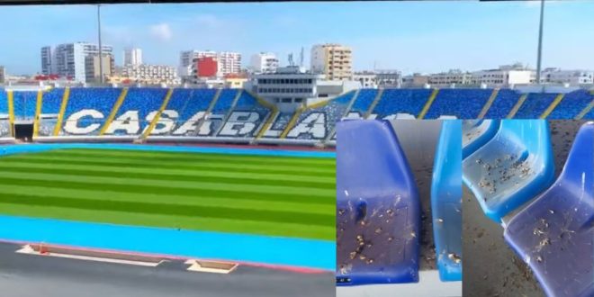 Complexe Mohammed V: l’état des gradins fait polémique