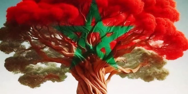 Génération Diaspora voit le jour: une nouvelle voix pour la jeunesse marocaine en France