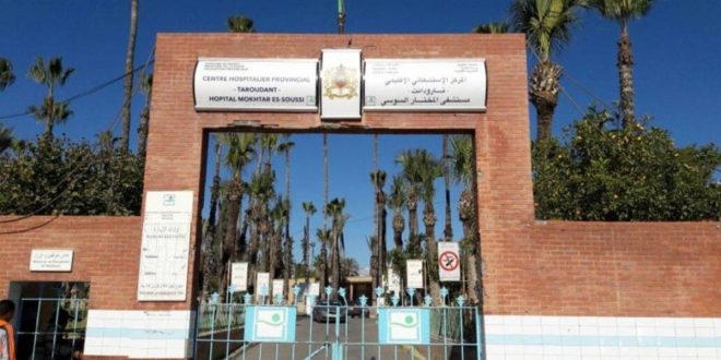 Taroudant : une femme succombe à une morsure de vipère