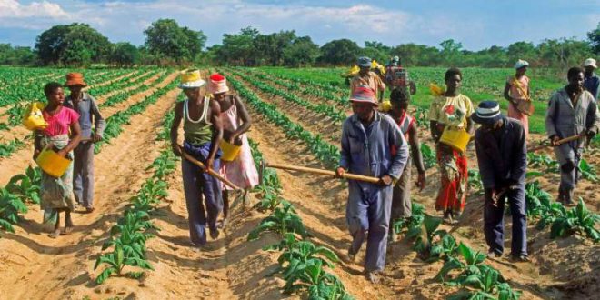 Sorry! Image not available at this time