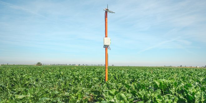 Le Groupe COSUMAR lance la campagne sucrière 2025/2026