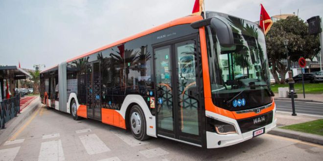 Casablanca reçoit plus de 250 nouveaux autobus