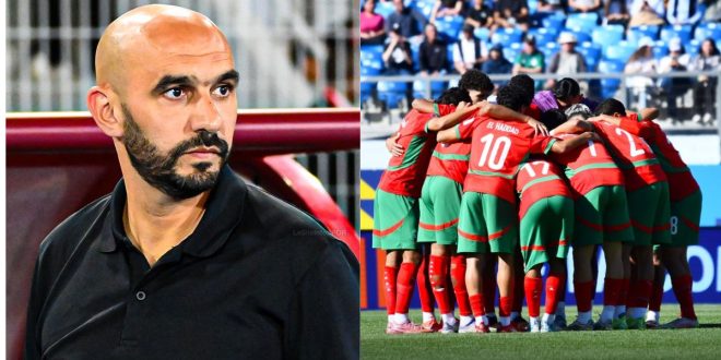 Exploit des Lionceaux: les supporters lancent un appel à Walid Regragui