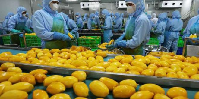 Agroalimentaire : un marché africain à portée pour le Maroc