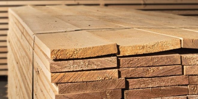 Les 500 Global 2025. Bois et papier: Un secteur sous tension