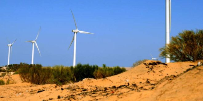 Développement durable : provinces du Sud, moteur des énergies renouvelables