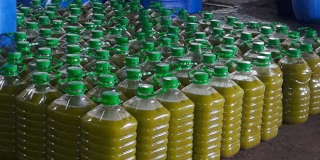 Huile d’olive : le litre bientôt à 50 dirhams ?